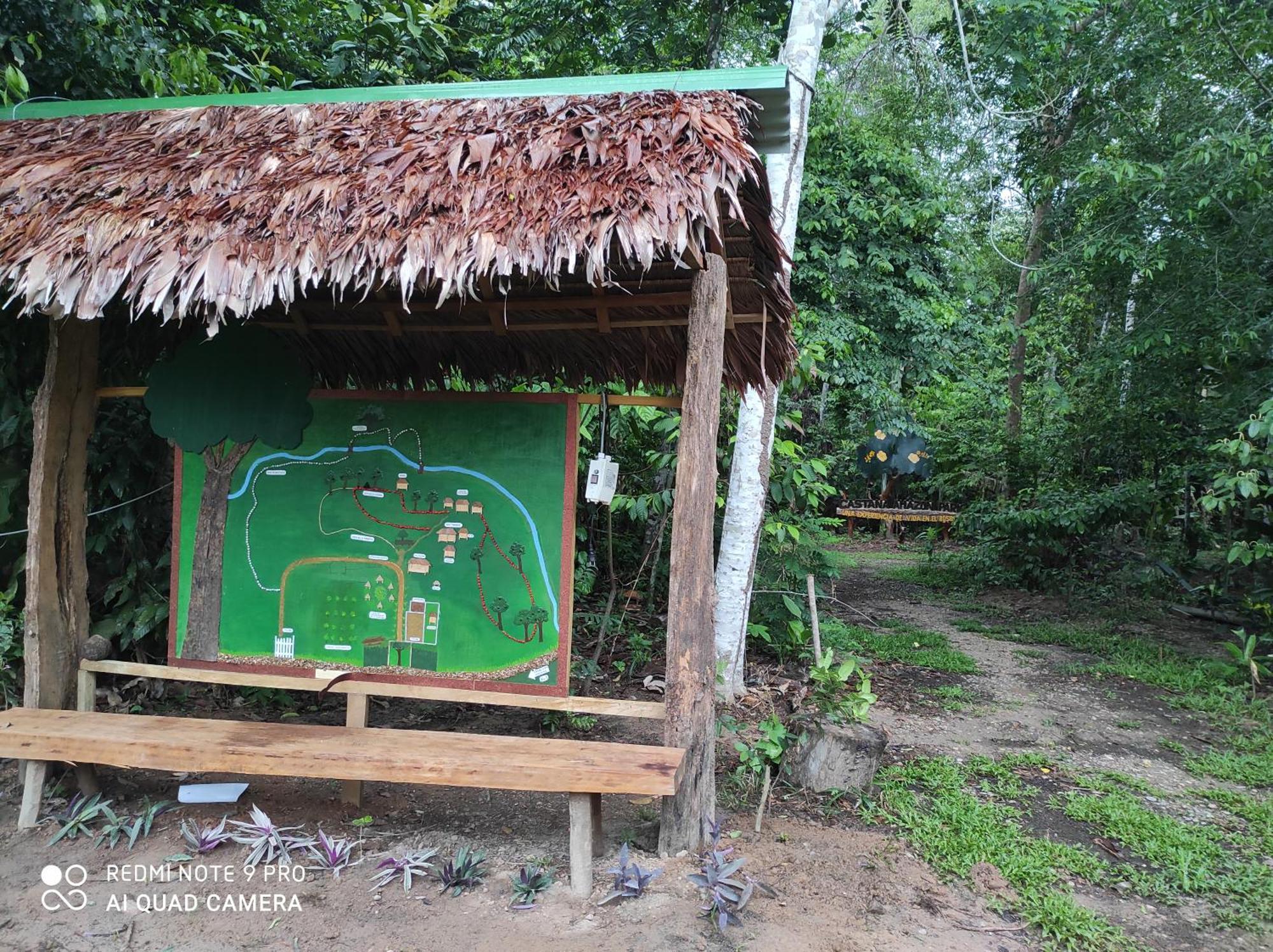 Castana Amazon Park Hostel Puerto Maldonado Exterior photo
